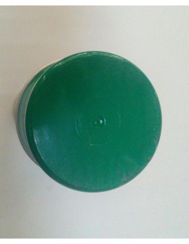 SPRAY DE PINTURA VERDE MENTA 200 ML