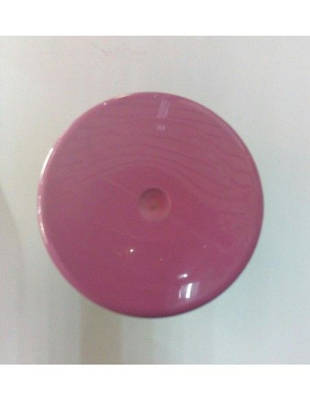 PINTURA EN SPRAY LILA BREZO BRILLO