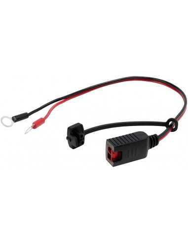 CARGADOR DE BATERIA INTELIGENTE LED 1.2A