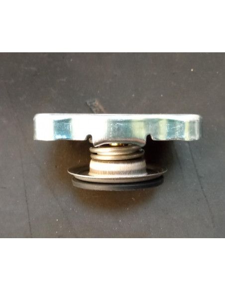 TAPON BOTELLA EXPANSION/RADIADOR SEAT 0,7 BAR